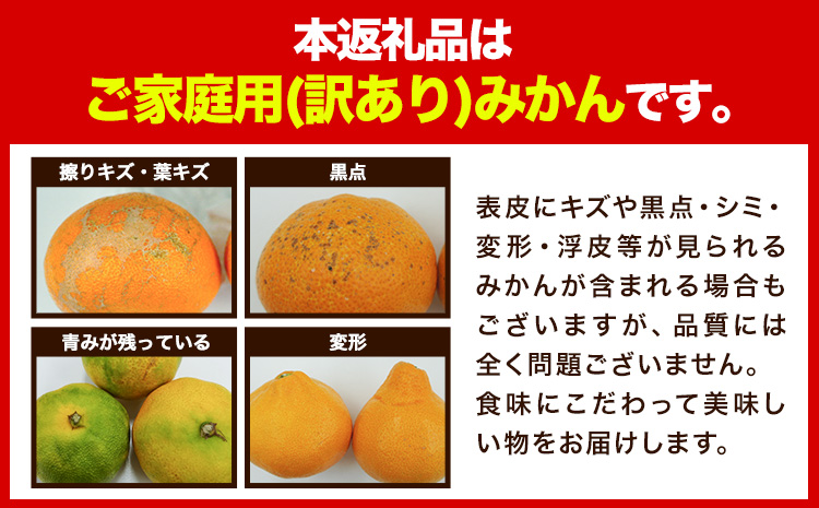 『大隅果樹園』のご家庭用みかん 約5kg(2S~Lサイズ) 大隅果樹園《10月下旬-12月下旬頃出荷》熊本県 玉名郡 玉東町 みかん 柑橘 フルーツ 果物 ご家庭用 訳あり