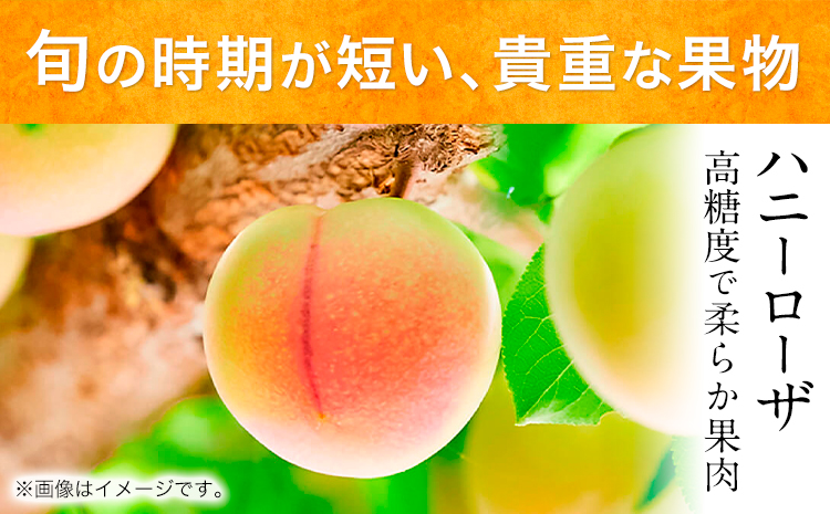 æçŸ€ã®ç³åºŠãšçœãããªé
žå³âªãããŒããŒã¶ã¢ã€ã¹ã¯ãªãŒã ïŒãããŒããŒã¶ã·ã£ãŒããã 120ml 12å çæ¬ççåé¡çæ±çº ããã ãããŒããŒã¶ ã¢ã€ã¹ ã·ãã£ãšããããšãã60æ¥ä»¥å
ã«åºè·äºå®(忥ç¥é€ã)ã