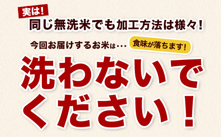 【6ヶ月定期便】熊本県産 さとほまれ 無洗米 ご家庭用 定期便 20kg 《申込み翌月から発送》熊本県 玉名郡 玉東町 米 こめ コメ ブレンド米 送料無料