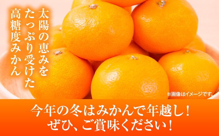 みかん 約10kg (2S-2Lサイズ) 金峰柑橘組合株式会社 ミカン 柑橘 フルーツ 旬 熊本県 玉名郡 玉東町 《10月中旬-1月中旬頃出荷》贈り物 果物 くだもの