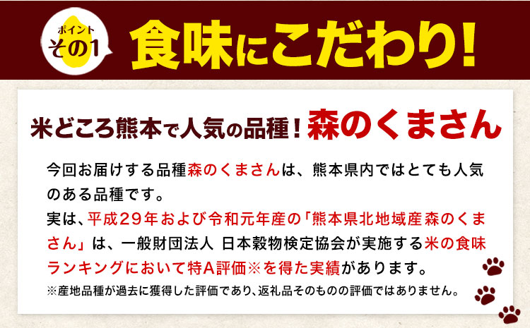 令和6年産  新米 無洗米  森のくまさん 5kg × 1袋  熊本県産 単一原料米 森くま《11月-12月より出荷予定》送料無料