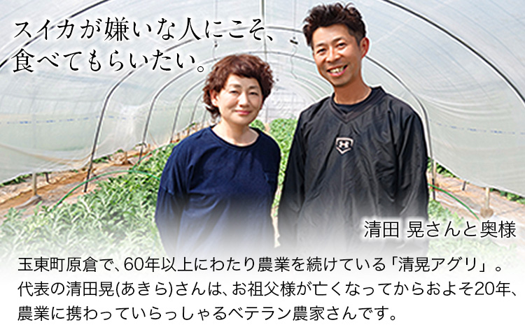 『清晃アグリ』のすいか 1玉約6〜7kg 《4月下旬-5月下旬頃出荷》 熊本県玉名郡玉東町『清晃アグリ』すいか フルーツ 果物 熊本県産