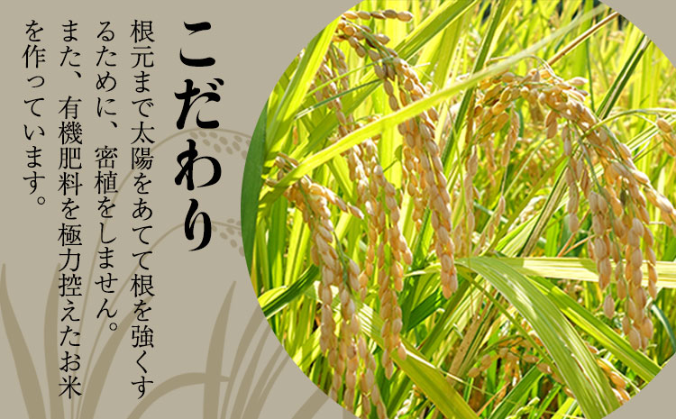 【令和7年産】『児玉農園』 くまさんの輝き 10kg 5kg×2袋《10月中旬-10月末頃出荷》