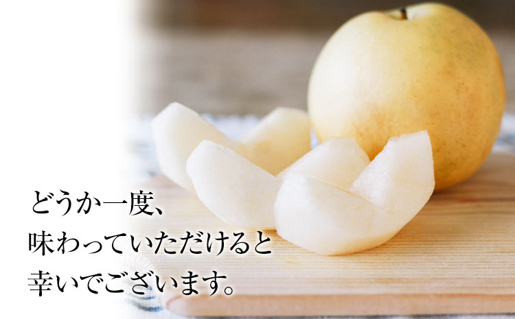 【先行予約】秋 旬 梨 期間限定 【日付指定不可】梨 『松田農園』の くまもと 梨 たっぷり 約2kg 5-7玉前後《7月下旬-9月末頃出荷》 予約 受付中 熊本県玉名郡玉東町『松田農園』なし 果物 スイーツ フルーツ デザート スムージー  SDG`s