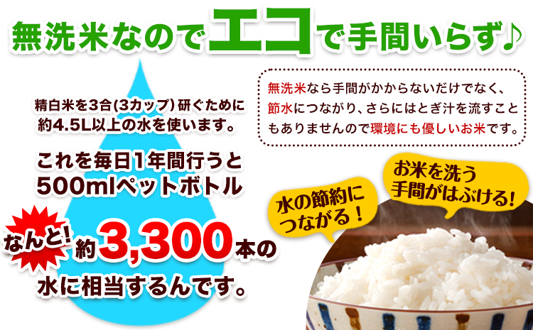 【3ヶ月定期便】熊本県産 さとほまれ 無洗米 ご家庭用 定期便 15kg 《お申込み翌月から出荷開始》熊本県 玉名郡 玉東町 米 こめ コメ ブレンド米 送料無料