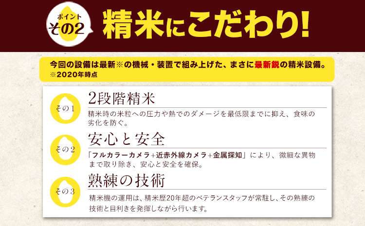 令和6年産 新米 特A受賞品種 無洗米 ひのひかり 無洗米 森のくまさん 計20kg 食べ比べ 厳選お楽しみセット 熊本県産 玉東町産含む 各5kg×2袋 計4袋 無洗米 精米 玉東町 森くま《11月-12月より出荷予定》ブランド米