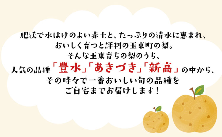 『ゆみちゃん農園』の玉東梨 甘太梨 約3kg(約3-10玉前後) 《2026年8月下旬-10月上旬頃出荷》熊本県玉名郡玉東町 梨 なし 果物 フルーツ 旬の梨