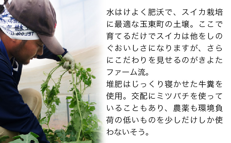 【先行予約】『きよたファーム』の黒小玉すいか2玉セット 1玉約2.5-4kg前後 《2026年7月上旬-8月中旬頃出荷》 熊本県玉名郡玉東町『きよたファーム』すいか フルーツ 果物 熊本県産