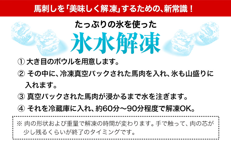 馬刺し 赤身 馬刺し 1kg 【純 国産 熊本 肥育】 たっぷり 1kg 約100g×10 ブロック ( タレ 5ml×20袋) 生食用 冷凍《1-5営業日以内に出荷予定(土日祝除く)》送料無料 国産 絶品 馬肉 肉 ギフト