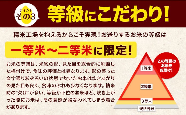 令和7年産 森のくまさん【12ヶ月定期便】 白米 《お申込み翌月から出荷》20kg(5kg×4袋) 計12回お届け 熊本県産 単一原料米 森くま 熊本県 玉東町