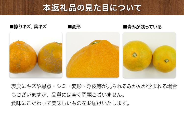 みかん ご家庭用『松田農園』ご家庭用みかん 約5kg(S-2Lサイズ) たっぷり 【日付指定不可】 予約受付中 フルーツ 秋 旬 約5kg 熊本県玉名郡玉東町『松田農園』 こだわり ミカン！ちょこっと 訳あり《11月上旬-1月下旬頃出荷》