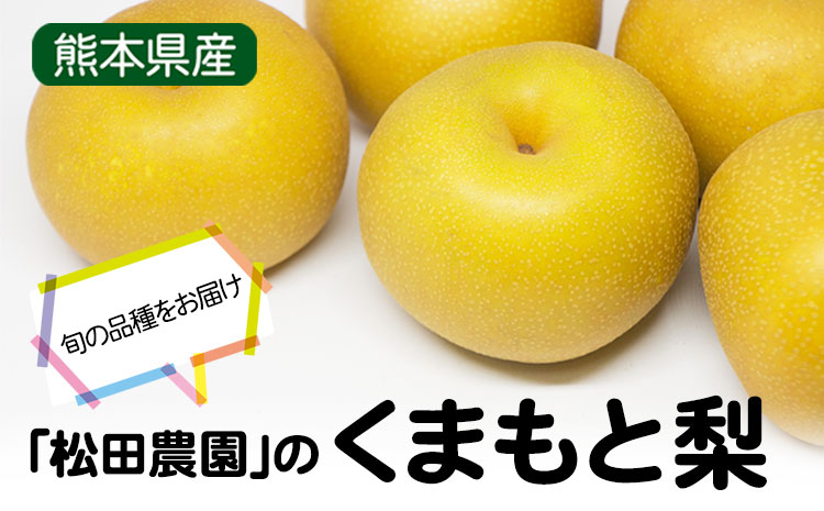 【先行予約】秋 旬 梨 期間限定 【日付指定不可】梨 『松田農園』の くまもと 梨 たっぷり 約2kg 5-7玉前後《7月下旬-9月末頃出荷》 予約 受付中 熊本県玉名郡玉東町『松田農園』なし 果物 スイーツ フルーツ デザート スムージー  SDG`s