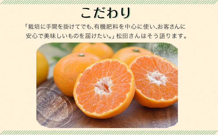 『松田農園』のみかん たっぷり 約3kg(S-2Lサイズ) フルーツ 秋 旬 熊本県 玉名郡 玉東町 松田農園 手間暇かけたこだわりのミカン【日付指定不可】《11月上旬-12月下旬頃出荷》