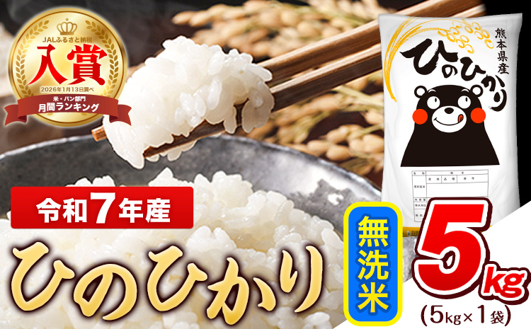 令和7年産 ひのひかり 無洗米 5kg (5kg×1袋)《7-14日以内に出荷予定(土日祝除く)》熊本県産 ひの 米 こめ ヒノヒカリ コメ お米 おこめ