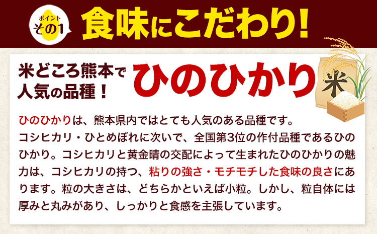 【2ヶ月定期便】新米 令和7年産 無洗米 定期便 ひのひかり 15kg 《お申込み翌月から出荷》 熊本県産 ふるさと納税 精米 ひの 米 こめ ふるさとのうぜい ヒノヒカリ コメ 熊本米 ひのもり