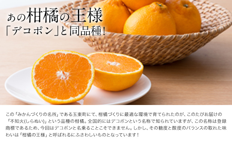 清田農園のご家庭用不知火10玉-16玉(L-2Lサイズ) あのデコポンと同品種 熊本県玉名郡玉東町《3月上旬-3月末頃出荷》