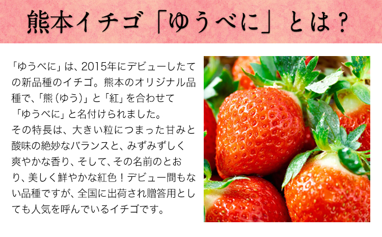 ぎょくとうセレクト アイス＆アイスもなかセット(4種×各2個入) 《30日以内に出荷予定(土日祝除く)》 熊本県玉名郡玉東町 すもも ハニーローザ いちご アイス もなか ぷらっとぎょくとう