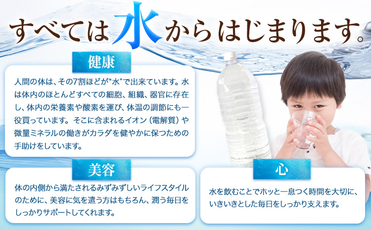 【6ヶ月定期便】熊本イオン純天然水 ラベルレス 2L×20本 《お申込み翌月から出荷》2l 水 飲料水 ナチュラルミネラルウォーター 熊本県 玉名郡 玉東町 完全国産 天然水 くまモン パッケージ