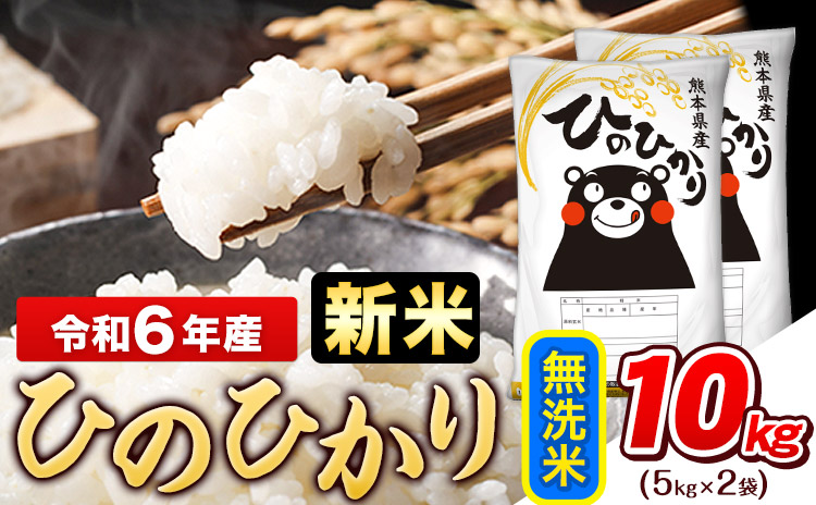 令和6年産 新米 早期先行予約受付中 ひのひかり 無洗米 10kg (5kg×2袋)《11月-12月頃出荷》熊本県産 ひの 米 こめ ヒノヒカリ コメ お米 おこめ