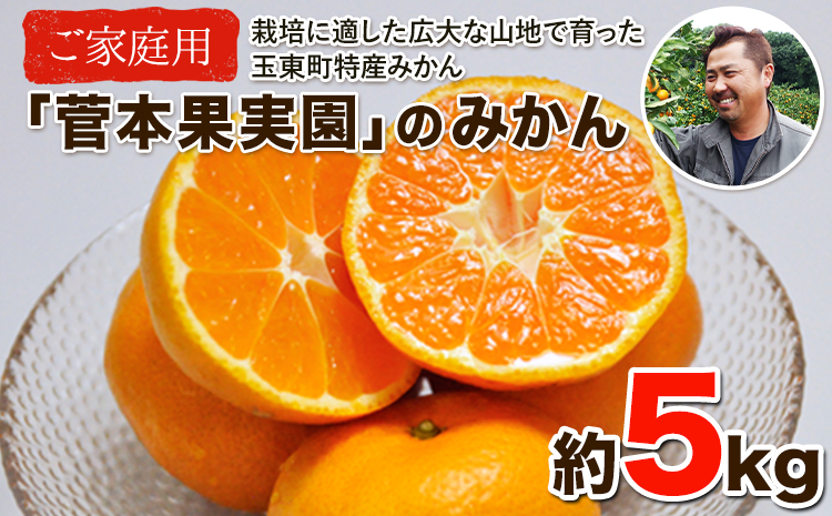 ご家庭用『菅本果実園』のご家庭用みかん★約5kg(2S-2Lサイズ) 《11月下旬-12月末頃出荷》 フルーツ 秋 旬★熊本県玉名郡玉東町 全国にファン多数！エコファーマー菅本さんのみかん♪『菅本果実園』ちょこっと訳あり