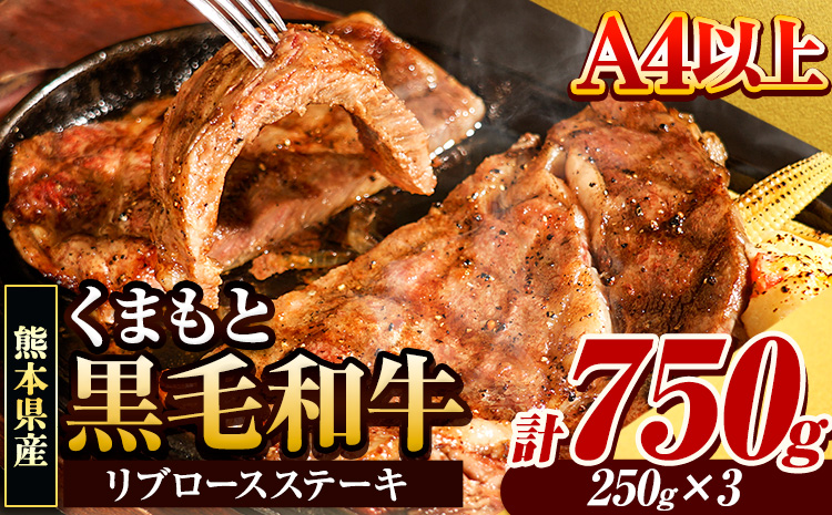 くまもと黒毛和牛 リブロースステーキ 750g (250g×3枚) 牛肉 冷凍 《30日以内に出荷予定(土日祝除く)》 くまもと黒毛和牛 黒毛和牛 冷凍庫 個別 取分け 小分け 個包装 ステーキ肉 にも リブロースステーキ