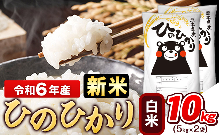 令和6年産 新米 早期先行予約受付中 ひのひかり 10kg (5kg×2袋)《11月-12月頃出荷》熊本県産 白米 精米 ひの 米 こめ ヒノヒカリ コメ お米 おこめ