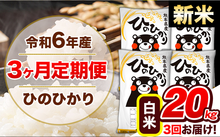 【3ヶ月定期便】令和6年産 新米 定期便 ひのひかり20kg 《申込み翌月から発送》令和6年産 熊本県産 ふるさと納税 白米 精米 ひの 米 こめ ふるさとのうぜい ヒノヒカリ コメ 熊本米 ひのもり