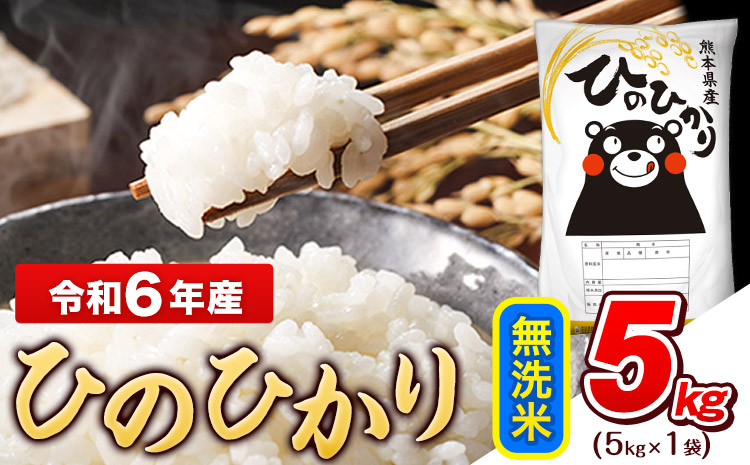 令和6年産 ひのひかり 無洗米 5kg (5kg×1袋)《7-14営業日以内に出荷予定(土日祝除く)》熊本県産 ひの 米 こめ ヒノヒカリ コメ お米 おこめ