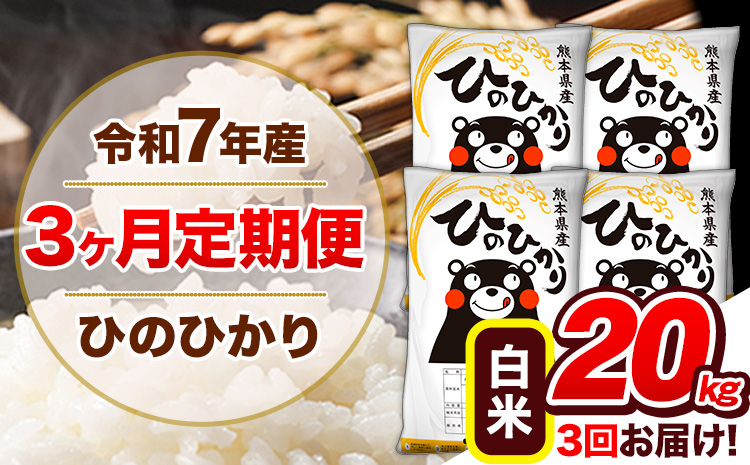 [3ヶ月定期便]令和7年産 定期便 ひのひかり 白米 20kg [お申込み翌月から出荷開始]熊本県産 ふるさと納税 白米 精米 ひの 米 こめ ふるさとのうぜい ヒノヒカリ コメ 熊本米