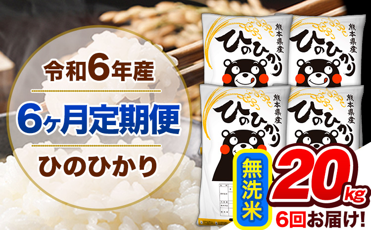 【6ヶ月定期便】令和6年産 定期便 無洗米 ひのひかり 20kg 《申込み翌月から発送》令和6年産 熊本県産 ふるさと納税 精米 ひの 米 こめ ふるさとのうぜい ヒノヒカリ コメ 熊本米