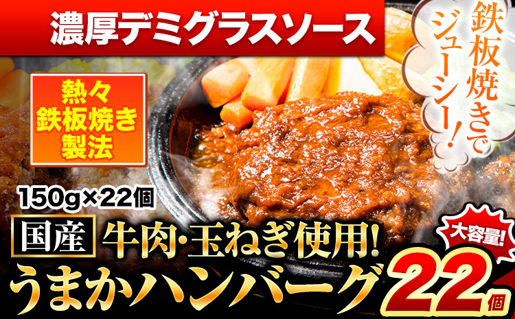 ハンバーグ 22個 国産のお肉使用！ 鶏肉不使用 温めるだけ 「通の贅沢ハンバーグ」濃厚デミグラスソース《7-14日以内に出荷予定(土日祝除く)》 牛 訳あり 小分け 早く届く