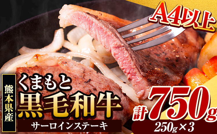 くまもと黒毛和牛 サーロインステーキ 750g (250g x 3枚) 牛肉 冷凍 《30日以内に出荷予定(土日祝除く)》 くまもと黒毛和牛 黒毛和牛 冷凍庫 個別 取分け 小分け 個包装 ステーキ肉 にも サーロインステーキ