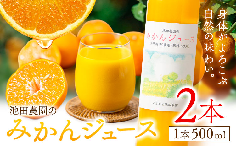 池田農園のみかんジュース 2本 1本500ml 池田農園《30日以内に出荷予定(土日祝除く)》熊本県 玉名郡 玉東町 みかんジュース みかん ミカン ジュース 自然栽培 栽培期間中農薬・肥料不使用