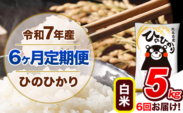 【6ヶ月定期便】令和7年産 定期便 ひのひかり 白米 5kg 《お申込み翌月から出荷》熊本県産 ふるさと納税 白米 精米 ひの 米 こめ ふるさとのうぜい ヒノヒカリ コメ 熊本米 ひのもり