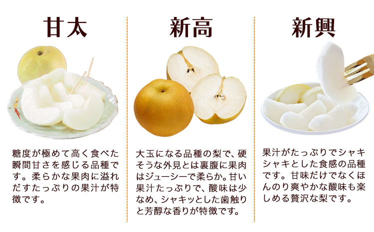 坂村梨園 玉東梨 熊本県玉名郡玉東町 約5kg(5〜18玉前後) 梨 なし 果物 旬の梨 《8月中旬-11月上旬頃出荷》豊水 秋麗 あきづき 甘太 新高 新興