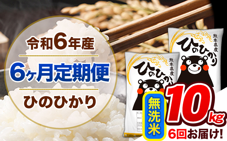 【6ヶ月定期便】令和6年産 定期便 無洗米 ひのひかり 10kg 《申込み翌月から発送》令和6年産 熊本県産 ふるさと納税 精米 ひの 米 こめ ふるさとのうぜい ヒノヒカリ コメ 熊本米