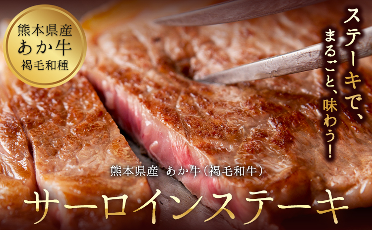 あか牛（褐毛和牛） サーロイン ステーキ 500g 牛肉 冷凍《2026年1月中旬-3月末頃出荷》