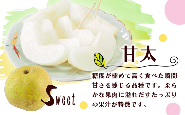 梨 なし 甘太梨 約5kg(5～18玉前後) 坂村梨園 《8月中旬-11月上旬頃出荷》熊本県 玉東町 秋 旬 梨 フルーツ 果物 期間限定