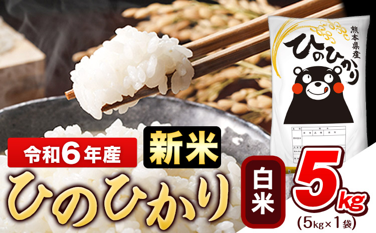 令和6年産 新米 早期先行予約受付中 ひのひかり 5kg《11月-12月頃出荷》熊本県産 白米 精米 ひの 米 こめ ヒノヒカリ コメ お米 おこめ