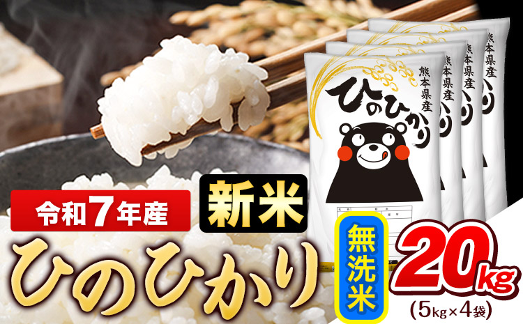 新米 令和7年産 ひのひかり 無洗米 20kg (5kg×4袋)《7-14日以内に出荷予定(土日祝除く)》熊本県産 ひの 米 こめ ヒノヒカリ コメ お米 おこめ