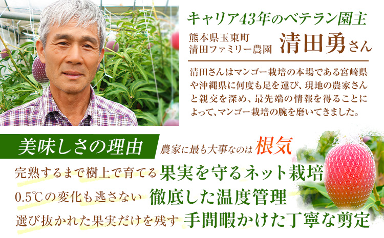 くまもと完熟マンゴー 2玉(約800g) 熊本県玉名郡玉東町『清田ファミリー農園』マンゴー 完熟 秀品【日付指定不可】《5月下旬-8月末頃出荷》
