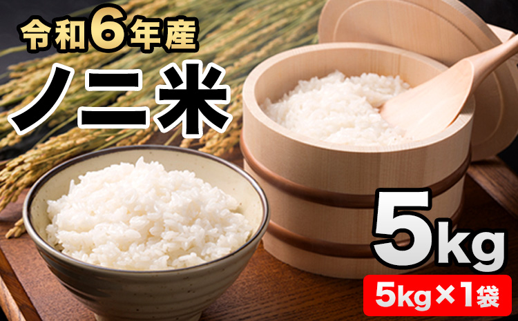 令和6年産  ひのひかり(ノニ米) 約5kg(5kg×1袋) コノCAFE《30日以内に出荷予定(土日祝除く)》