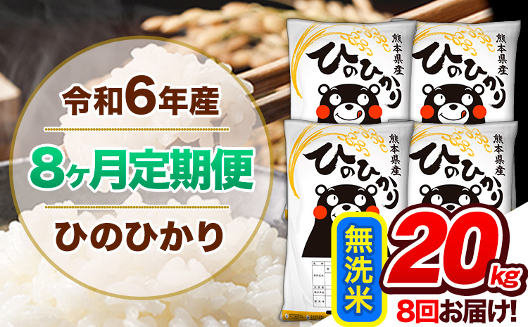 【8ヶ月定期便】令和6年産 定期便 無洗米 ひのひかり 20kg 《申込み翌月から発送》令和6年産 熊本県産 ふるさと納税 精米 ひの 米 こめ ふるさとのうぜい ヒノヒカリ コメ 熊本米 ひのもり