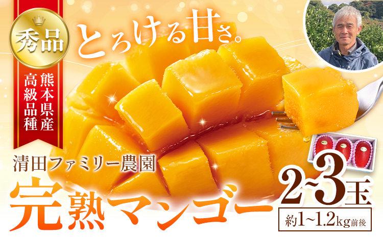 くまもと完熟マンゴー 2〜3玉(約1kg〜1.2kg前後) 熊本県玉名郡玉東町『清田ファミリー農園』マンゴー 完熟 秀品【日付指定不可】《5月下旬-8月末頃出荷》