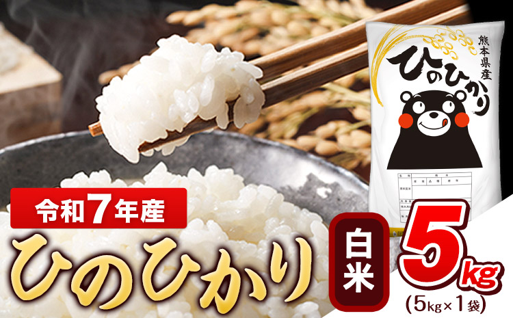 令和7年産 ひのひかり 白米 5kg (5kg×1袋)《7-14日以内に出荷予定(土日祝除く)》熊本県産 白米 精米 ひの 米 こめ ヒノヒカリ コメ お米 おこめ