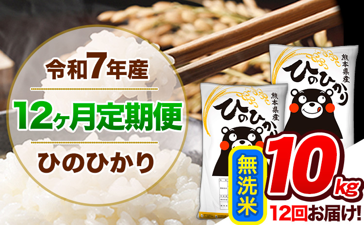 【12ヶ月定期便】令和7年産 ひのひかり 無洗米 10kg (5kg×2袋) 《お申込み翌月から出荷開始》熊本県産 ふるさと納税 精米 ひの 米 こめ ふるさとのうぜい ヒノヒカリ コメ 熊本米 ひのもり