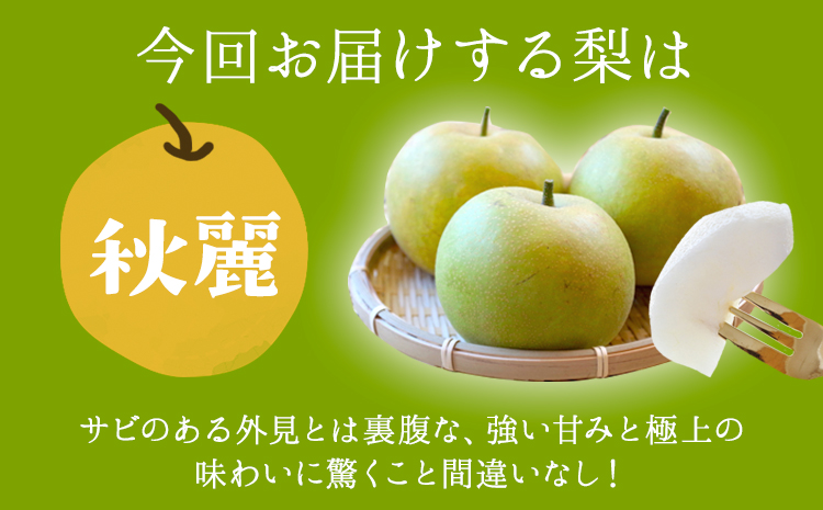 さかもと果樹園の玉東梨 秋麗梨 約5kg (6玉-18玉前後) 《8月中旬-8月下旬頃出荷》【日付指定不可】 熊本県玉名郡玉東町 梨 なし 果物 フルーツ 秋麗