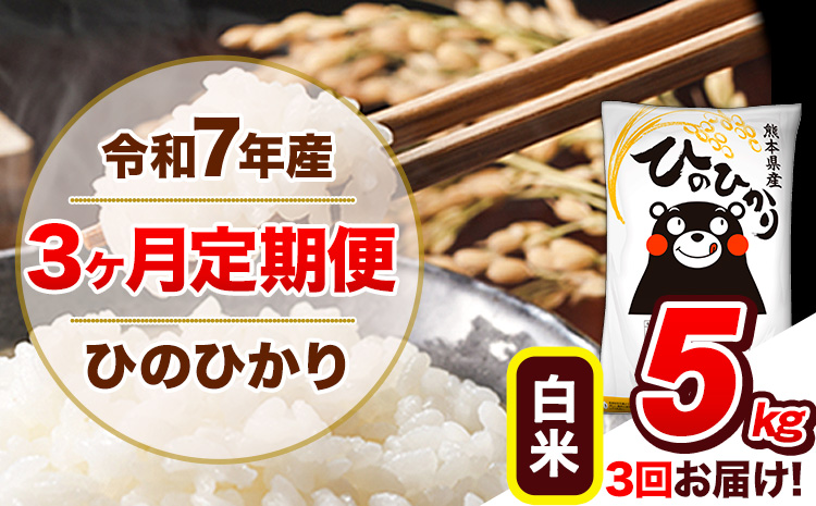 【3ヶ月定期便】令和7年産 定期便 ひのひかり白米 5kg 《お申込み翌月から出荷開始》熊本県産 ふるさと納税 白米 精米 ひの 米 こめ ふるさとのうぜい ヒノヒカリ コメ 熊本米 ひのもり