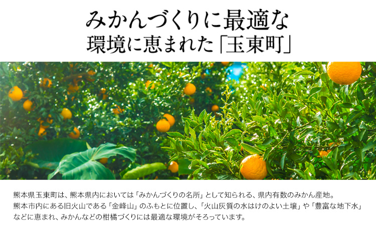 清田農園のご家庭用不知火10玉-16玉(L-2Lサイズ) あのデコポンと同品種 熊本県玉名郡玉東町《3月上旬-3月末頃出荷》