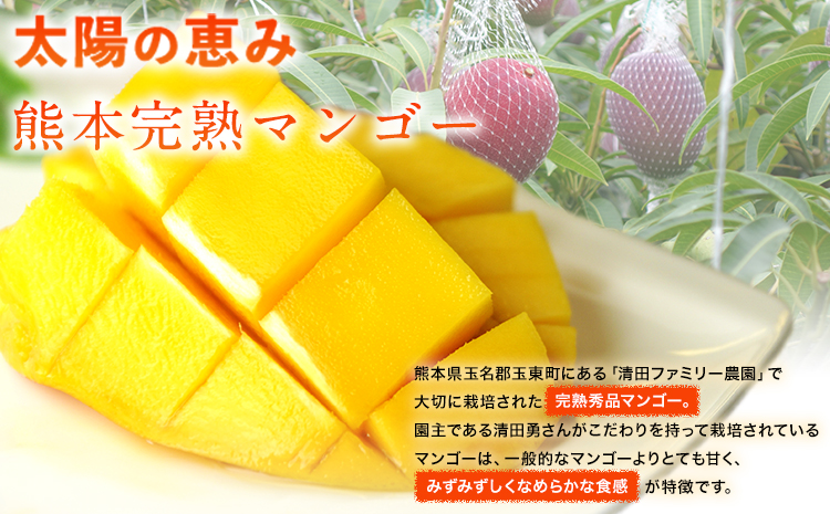 日本未発売】 宮崎県産完熟マンゴーLサイズ6玉1.9kg以上クール便